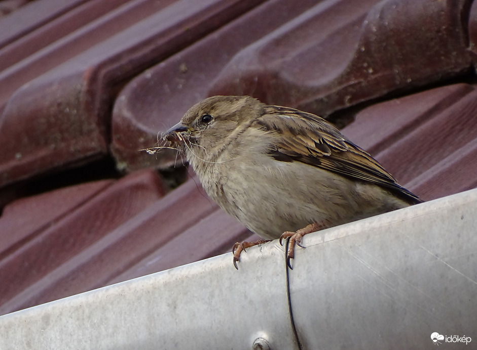 Ezt még hozzáteszem!