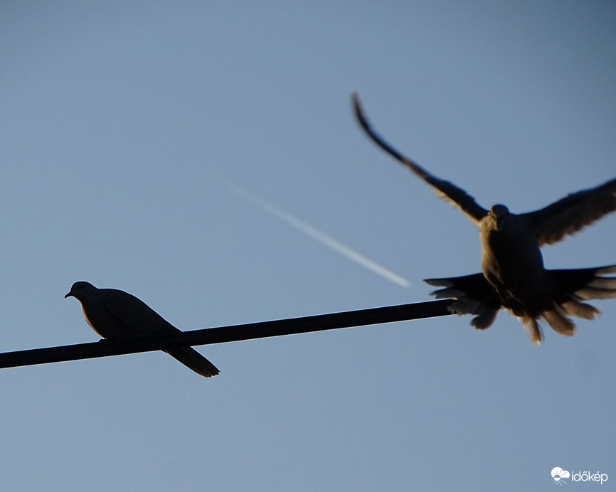 Nem leszek a céltáblád