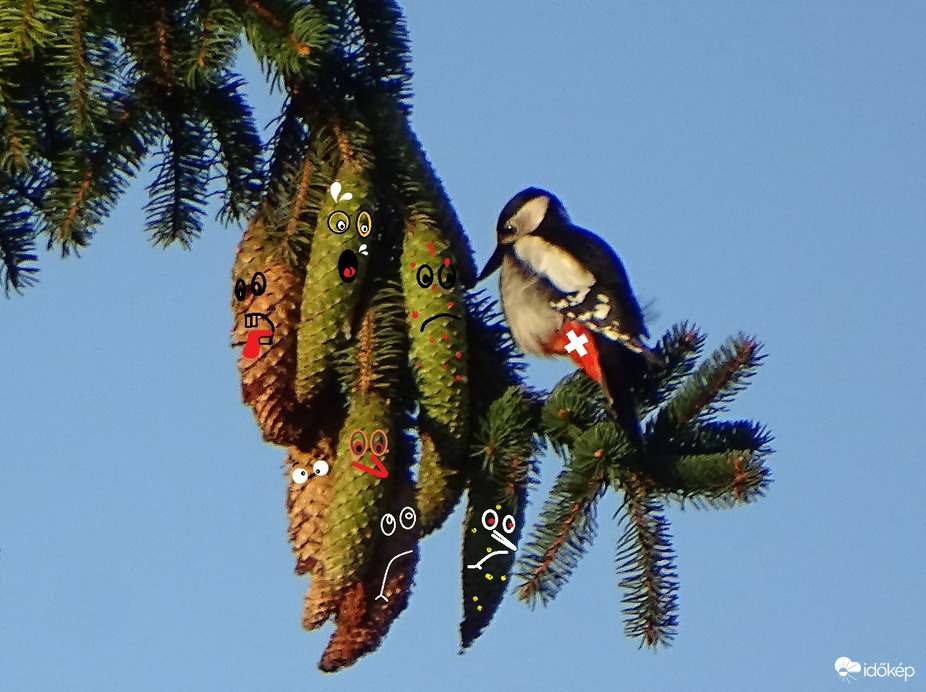 Mindenki nyugodjon le!  