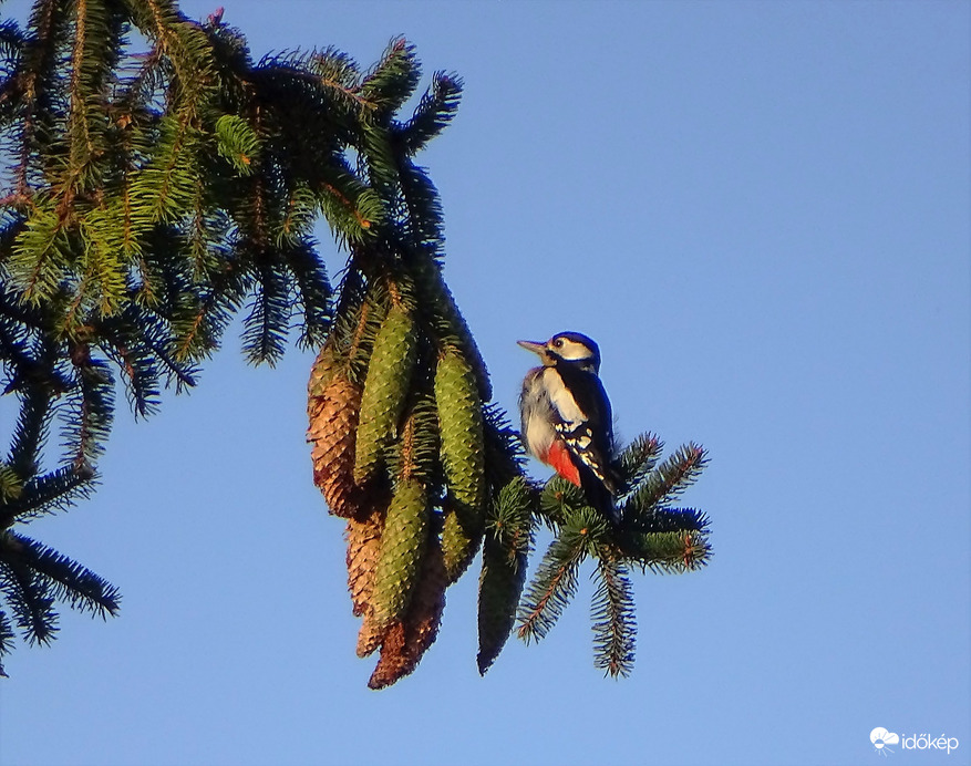 Csak nincs valami baj?