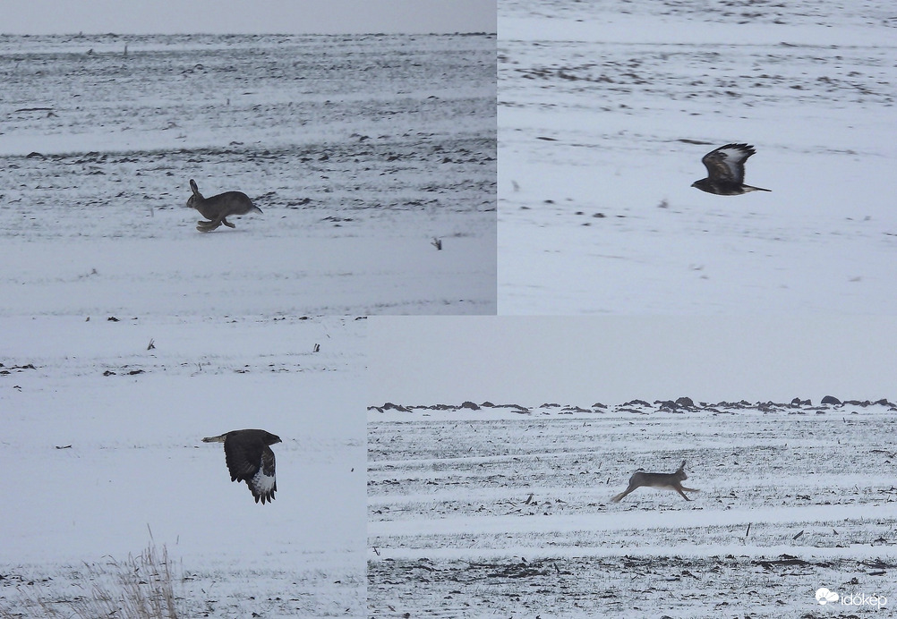 Délelőtti rohanás 