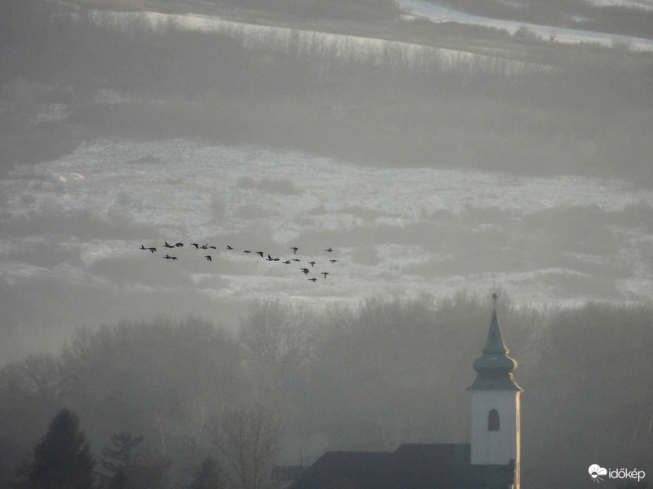 Vadlibák a távolban 2. 