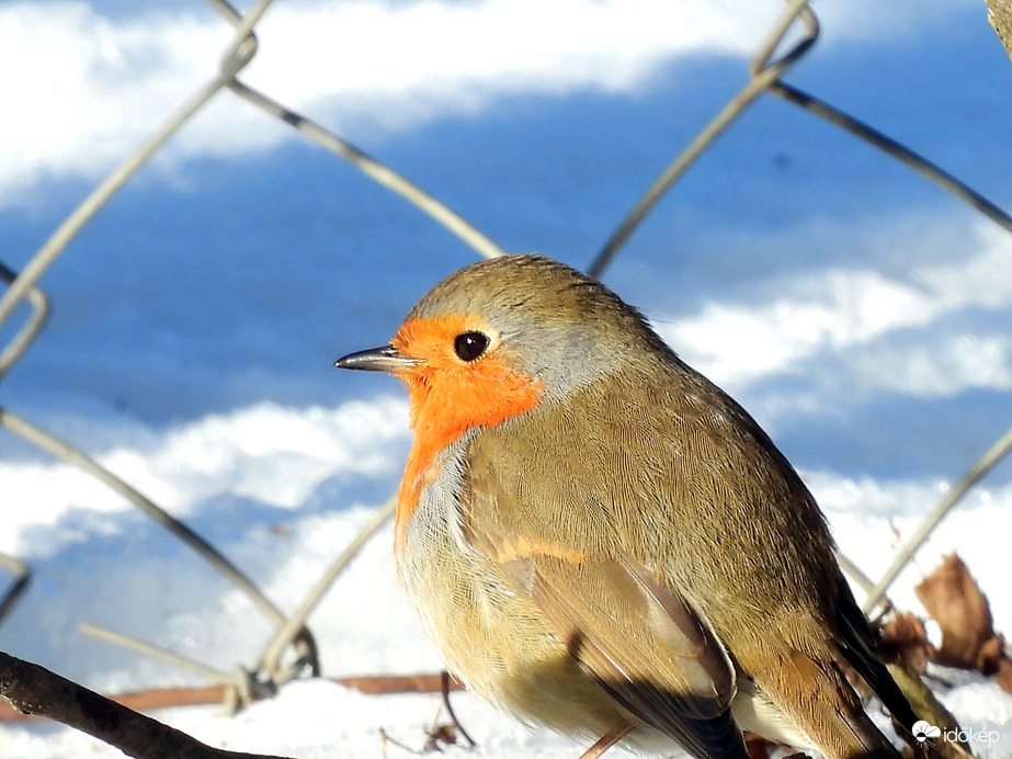 Ma sokat kellett várni a napsütésre