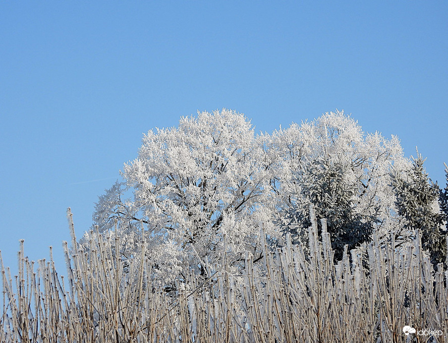 Napsütötte fagyban 
