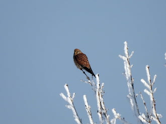 Valami megváltozott