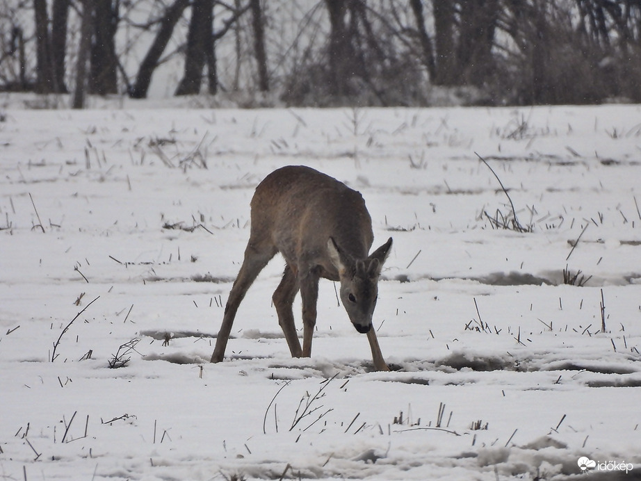 Ott eszlek meg ahol vagy! 