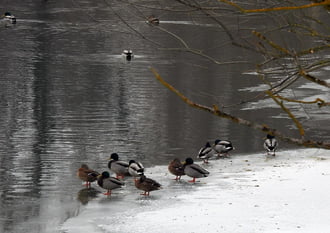 Ideiglenes félsziget a Hernád folyón 