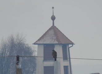 Újabban aggályaim vannak  