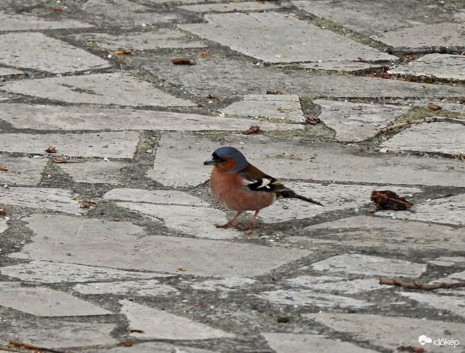 Kár volt leburkolni