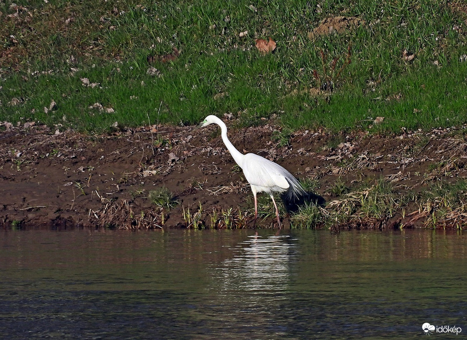 Tisza-parton 