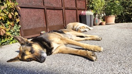 Őrzés-védelem a nap 20, 18,16...órájában