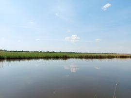 Napfényes vízpart