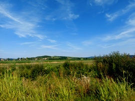 Mecsek