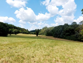 Erdők