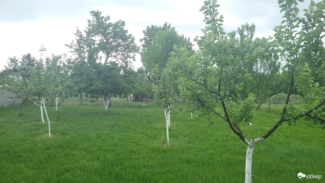 Dörög, villámlik.