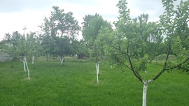 Dörög, villámlik.