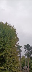 Balatonföldvár