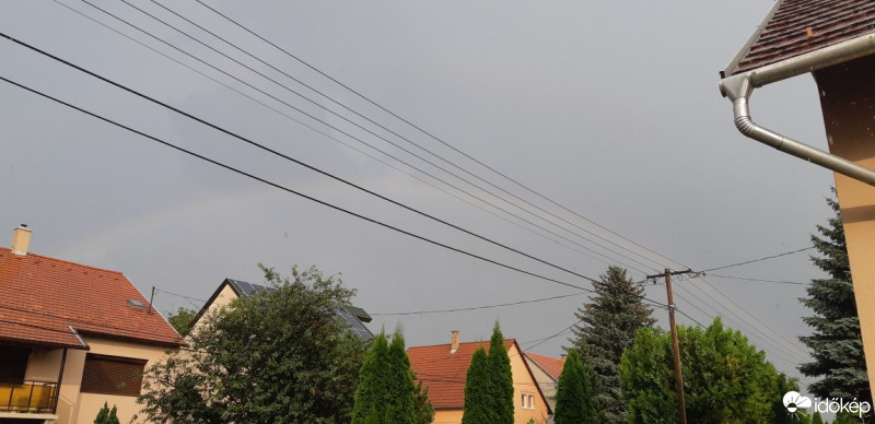Szár