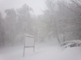 Írottkő 2016 11 12 11:00 25-30cm hó