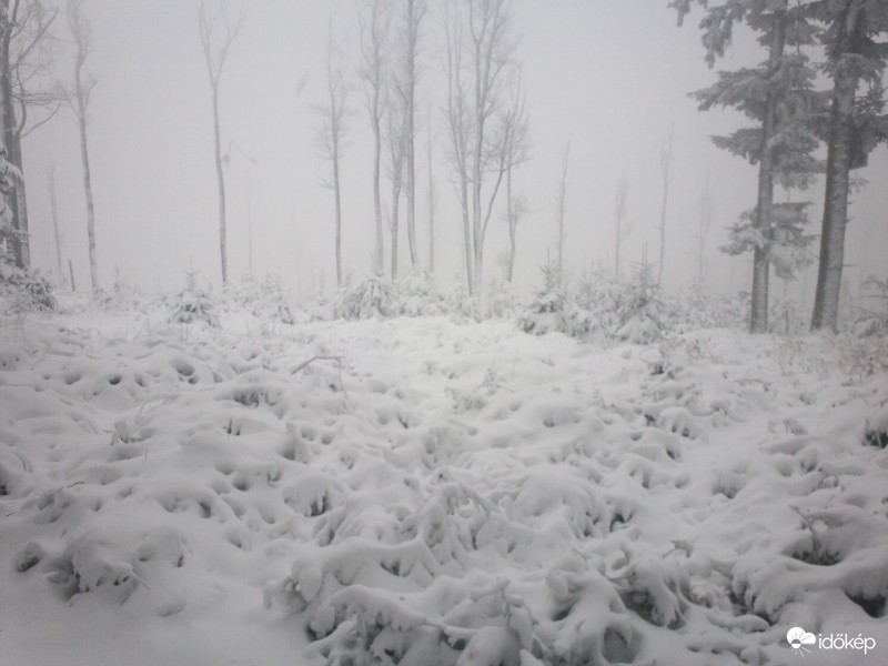 Írottkő 2016 11 12 11:00 25-30cm hó