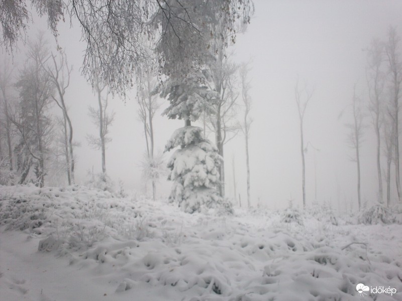 Írottkő 2016 11 12 11:00 25-30cm hó