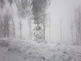 Írottkő 2016 11 12 11:00 25-30cm hó