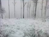 Írottkő 2016 11 12 11:00 25-30cm hó