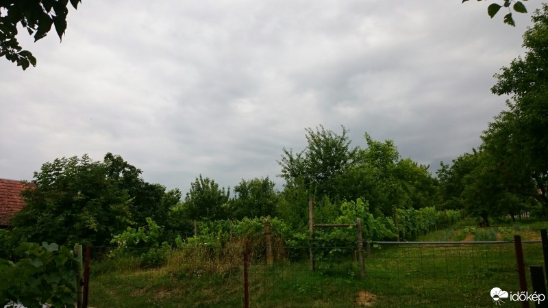 Mozsgó