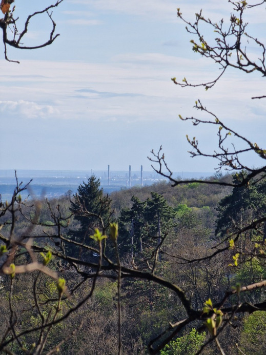 Budapest XII.ker - Széchenyi-hegy