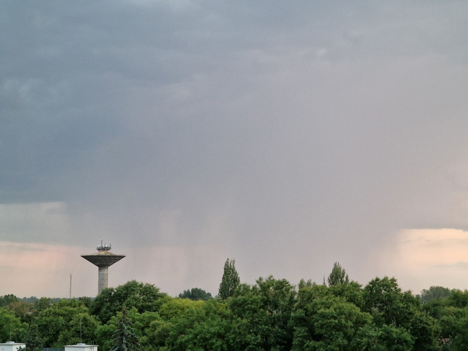 Csongrád