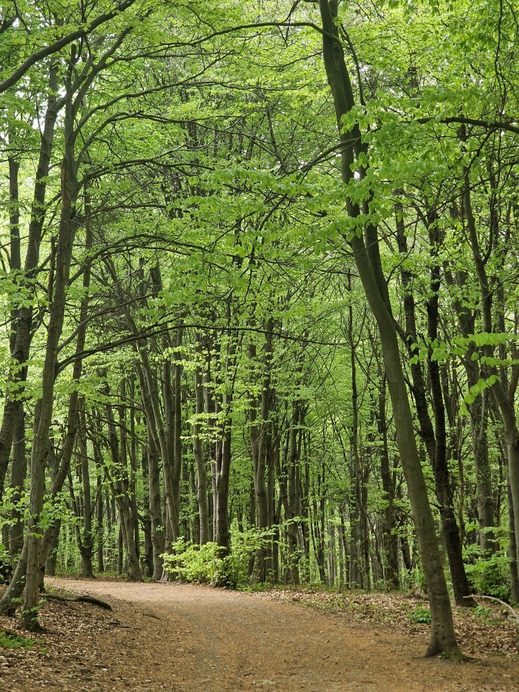 Budapest XII.ker - Zugliget