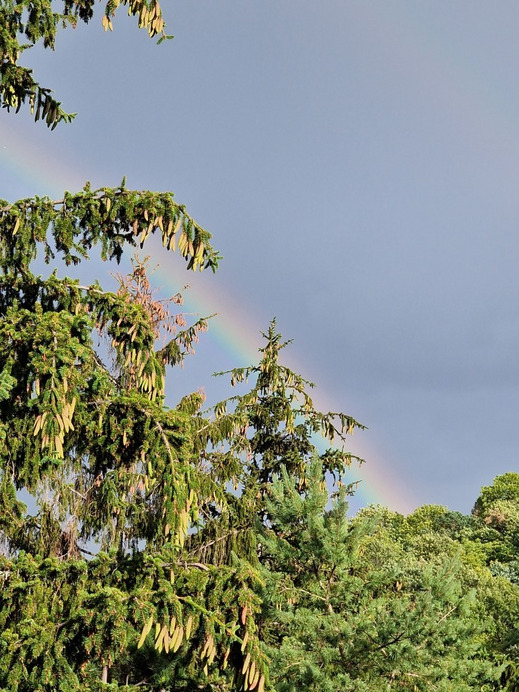 Budapest XII.ker - Zugliget