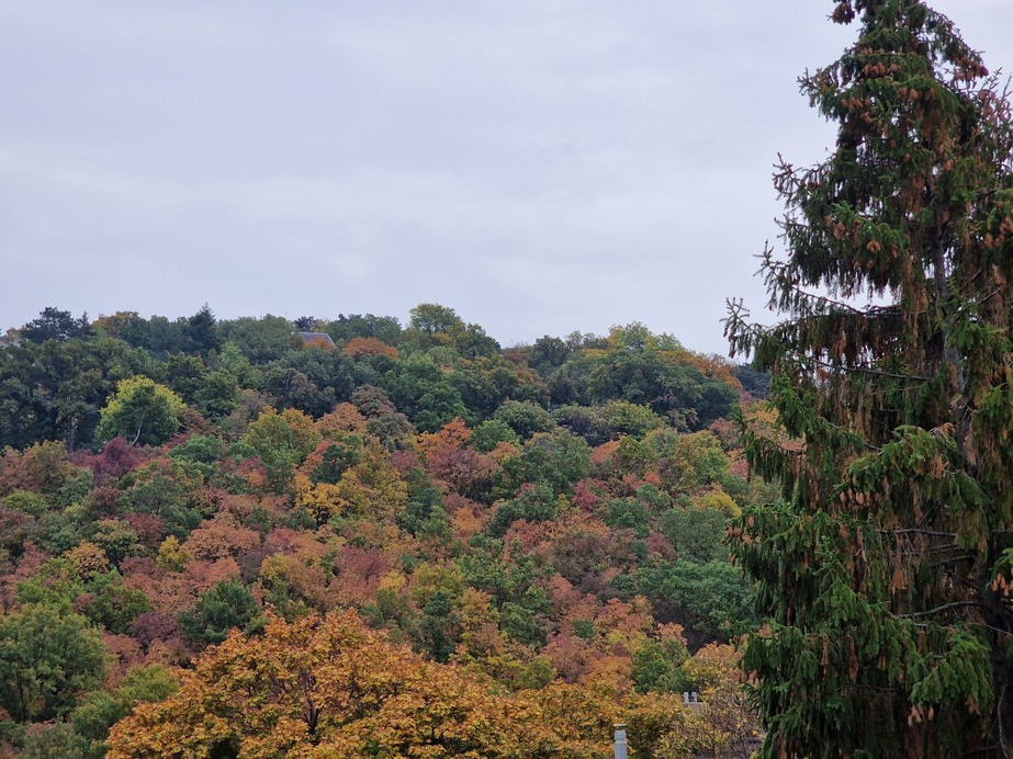 Budapest XII.ker - Zugliget
