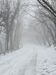 Budapest XII.ker - Normafa