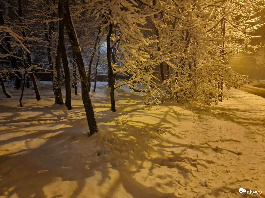 gykhauth fotója