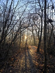 Budapest XII.ker - Normafa