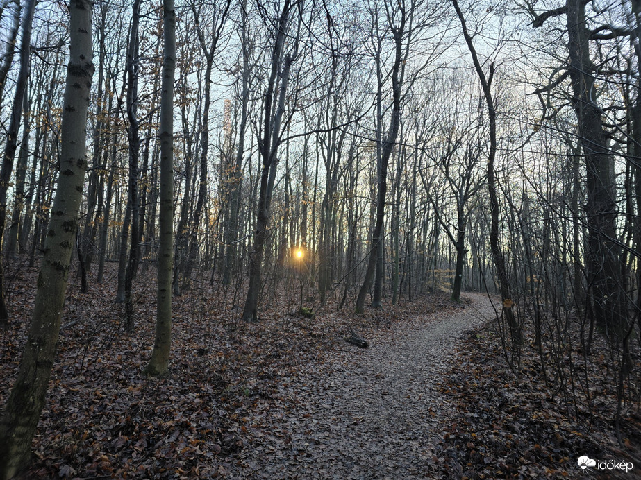 Budapest XII.ker - Normafa