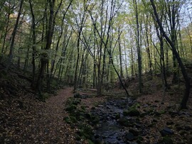 Mátraháza