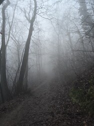 Budapest XII.ker - Normafa