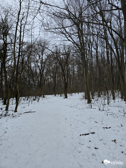 Budapest XII.ker - Normafa