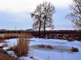 gyongyi001 fotója