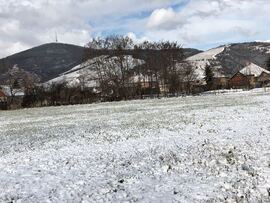 Tokaj