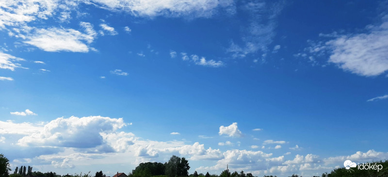 A felők..