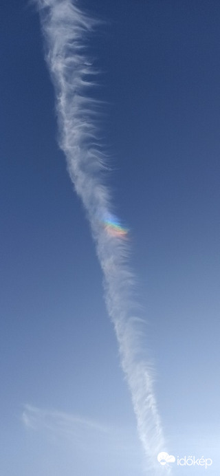 Kurd