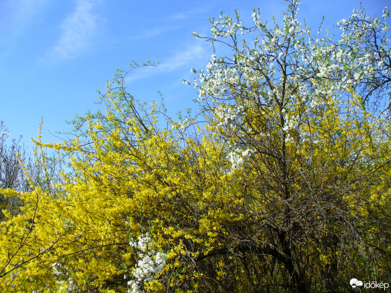 Miskolc
