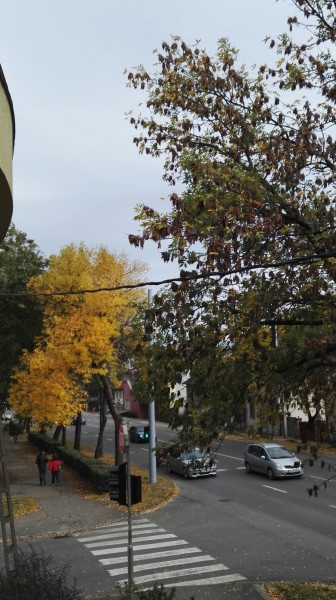 Eger
