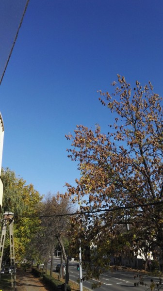 Eger