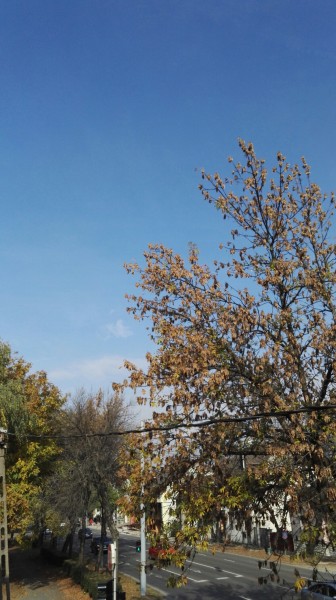 Eger