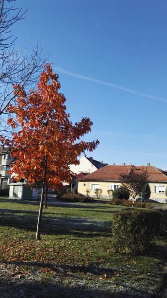 Eger