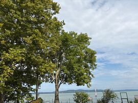 Balatonboglár